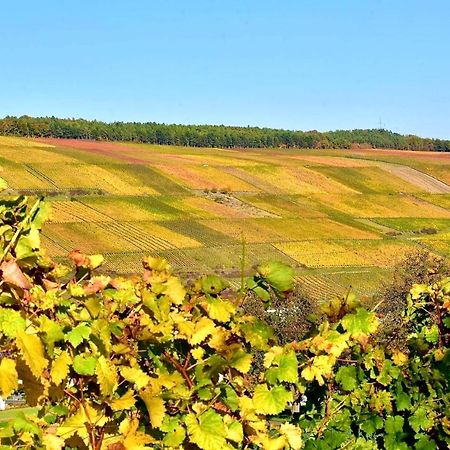 Ferienwohnungen Etzl Bad Mergentheim Buitenkant foto